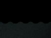  Distro, Family, Special Delivery, Family