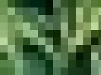 aloeorganic.co.uk aloeorganic.co.uk, Essential Oils, aromatherapy aloeorganic.co.uk aloeorganic.co.uk, Essential Oils, aromatherapy