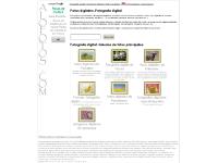 alofotos.com - alofotos alofotos.com - alofotos