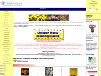 alohaorchid alohaorchid