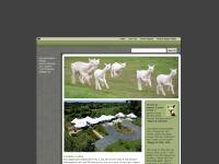  Our Location, Local Activities, [Christchurch farmstay map], [our farm stay accommodation]