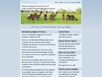 - Alpaca-Friends communication hub - Alpaca-Friends communication hub