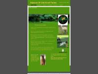 Alpacas of Oak Knoll Farms | Albert Lea, MN 56007 Alpacas of Oak Knoll Farms | Albert Lea, MN 56007