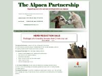 Alpacas for sale, alpaca courses at The alpaca partnership,alpaca advice,alpacas,alpaca Alpacas for sale, alpaca courses at The alpaca partnership,alpaca advice,alpacas,alpaca