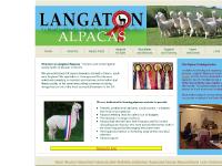 Langaton Alpacas, North Devon