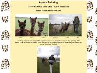 Alpaca Trekking - One of Norfolk's Great Little Tourist Attractions
