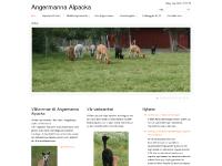 liten alpackor.se skärmbild liten alpackor.se skärmbild