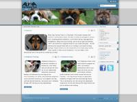 alphadogtrainingteam.com dog training, dog boarding, dog cleveland