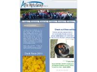 The Alpha Group of Delaware, Inc The Alpha Group of Delaware, Inc