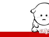 A L P H A P E T S A L P H A P E T S