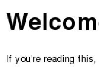 Steve Manes Steve Manes