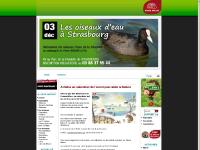 Alsace Nature - Accueil Alsace Nature - Accueil