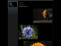 alsbphotography.co.uk Services, Other Images, Report Abuse