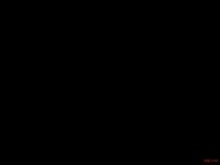 altergeneris 