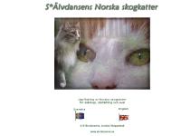 S*Älvdansens Norska skogkatter