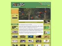 amazonlodgejungle.com ecuador amazon rainforest, ecuador amazon forest, ecuador amazon lodges