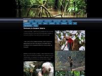 amazonsafaris.co.uk amazon safaris, amazon expeditions, amazon trips amazonsafaris.co.uk amazon safaris, amazon expeditions, amazon trips