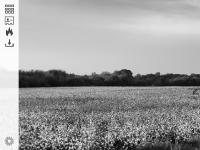 Amelie Photographie