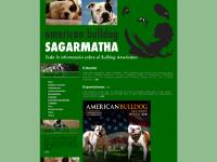  Archivo Ejemplares, Monogr&aacute;ficas, Camadas, Ejemplares para Montas