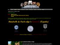 americanbullys.es American Bully, Bully