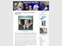 americandogblog.wordpress.com The Canine Angels, canine angels, disabled veterans americandogblog.wordpress.com The Canine Angels, canine angels, disabled veterans
