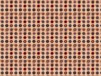 americanquiltstudygroup.org americanquiltstudygroup.org