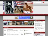 American Shetland Pony Forum American Shetland Pony Forum