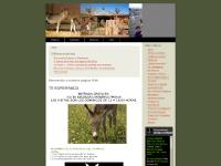 amiburro.es burros, asociación, animales amiburro.es burros, asociación, animales