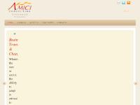 Business Transformation & Change | Amici Consulting