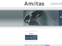 amiitas.co.uk Insert new item, Delete above item