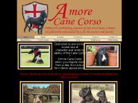 amorecanecorsos.com Amore Cane Corso, Schutzhund, working dogs amorecanecorsos.com Amore Cane Corso, Schutzhund, working dogs