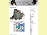 Allmänt, Allmänt, Allmänt, Allmänt Allmänt, Allmänt, Allmänt, Allmänt