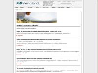 Business Strategy Consulting Reports | AMR International Business Strategy Consulting Reports | AMR International