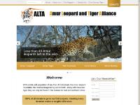  Photos, Amur Tiger, FAQs, Supporters