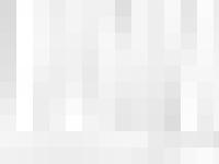 amvets-wi.org amvets, department, wisconsin amvets-wi.org amvets, department, wisconsin