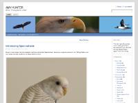  Observations, Artwork, Abstract, Stained Glass