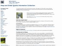  Cyclura, Green Iguanas, Invertebrates, Lizards