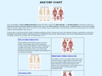 anatomychart.co.uk anatomy chart, anatomy charts, chart anatomy anatomychart.co.uk anatomy chart, anatomy charts, chart anatomy
