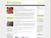 Physiotherapy / Sports Rehabilitation, Physiotherapy Insurance Referrals, Pregnancy Physiotherapy/Rehabilitation, Biomechanical Assessment and Orthotics Physiotherapy / Sports Rehabilitation, Physiotherapy Insurance Referrals, Pregnancy Physiotherapy/Rehabilitation, Biomechanical Assessment and Orthotics