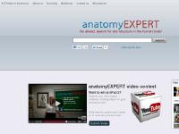 anatomyEXPERT anatomyEXPERT