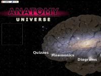 anatomyuniverse.com Free Anatomy Quiz Quizzes Anatomy Test Tests Animations Anatomy Diagrams Images Cadavers Medical School anatomyuniverse.com Free Anatomy Quiz Quizzes Anatomy Test Tests Animations Anatomy Diagrams Images Cadavers Medical School