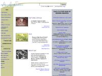 Ancient America Foundation