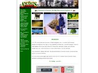 ancoatslittleitaly.com ancoatslittleitaly.com