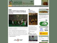 andaluzabaloncesto.org Baloncesto, Federación, Andaluza andaluzabaloncesto.org Baloncesto, Federación, Andaluza