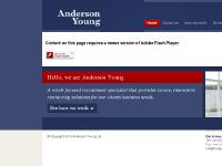 anderson-young.co.uk Anderson Young, How we work, Divisions anderson-young.co.uk Anderson Young, How we work, Divisions