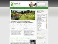 andersplus.com andersplus.com