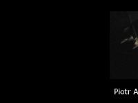 anderszewski.net keyword1, keyword2, keyword3 anderszewski.net keyword1, keyword2, keyword3