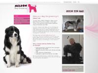 andreanelsondoggrooming.co.uk dog groomer, dog grooming, dog clipping