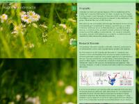 Eugen Andreiadis | Research Eugen Andreiadis | Research