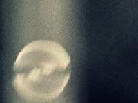 andrewandroid.co.uk andrewandroid.co.uk